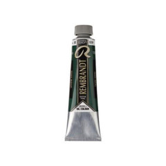 ΛΑΔΙΑ REMBRANDT 40ML No629 TERRE-VERTE