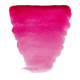 WATERCOLOUR VAN GOGH 10ML 366 QUINAROSE (ΣΥΣ-3TEM)