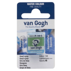 ΠΑΣΤΙΛΙΕΣ VAN COGH 748 S1 DAVY'S GREY (ΣΥΣ-2ΤΕΜ)