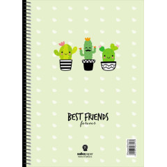 ΣΠΙΡΑΛ BEST FRIENDS 17X25/60σελ. 1θ (ΣΥΣΚ-10ΤΕΜ)