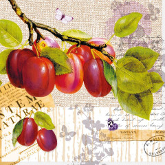 ΧΑΡΤΟΠΕΤΣΕΤΑ BOTANY PLUM 33X33 - ΣΥΣΚΕΥΑΣΙΑ 20τμχ