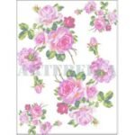 EASY TRANSFER 17X24 ARTEBELLA