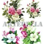 EASY TRANSFER 17Χ24 ARTEBELLA