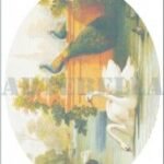 EASY TRANSFER 23X34 1342K ARTEBELLA