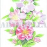 EASY TRANSFER 17X24 1268K ARTEBELLA