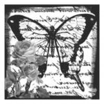 TRANSFER MIXART 5815V 25X25 ARTEBELLA