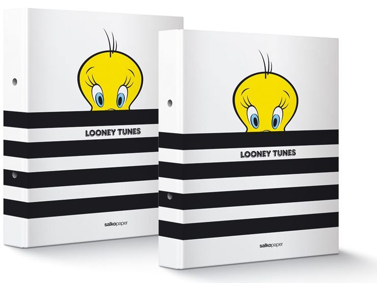 ΚΛΑΣΕΡ ΣΧΟΛΙΚΟ "LOONEY TUNES" 17x25