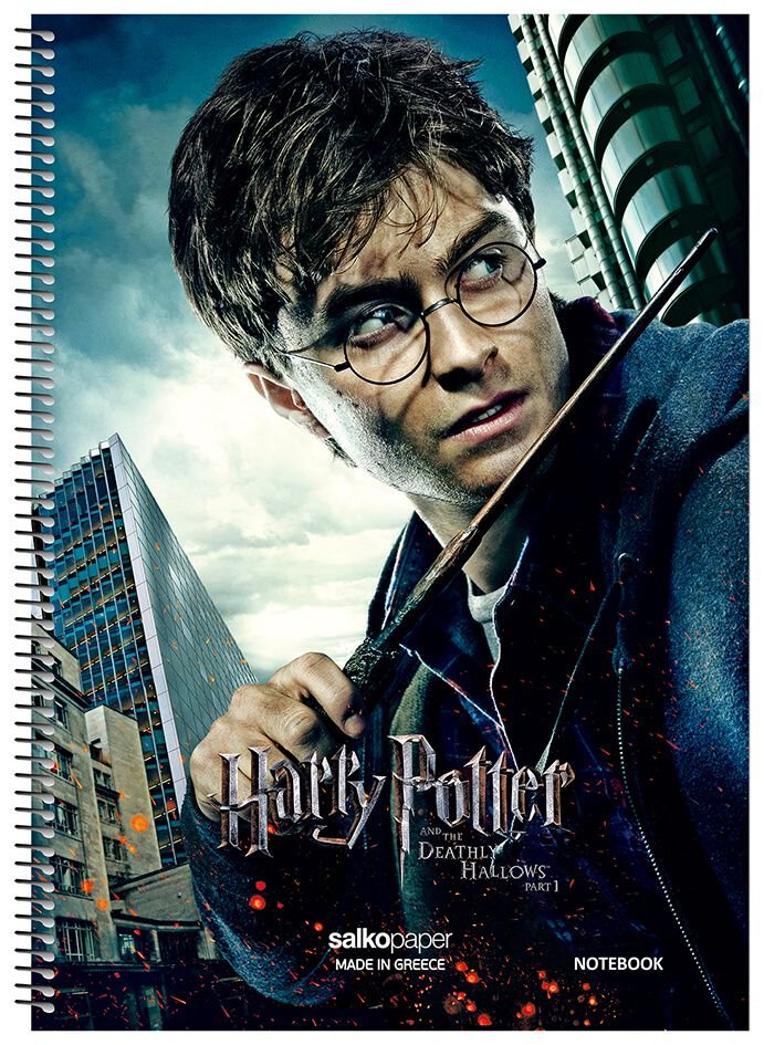 ΤΕΤΡΑΔΙΟ ΣΠΙΡΑΛ "HARRY POTTER V.2" 17x25/120ΣΕΛ-2 ΘΕΜΑΤΑ