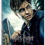 ΤΕΤΡΑΔΙΟ ΣΠΙΡΑΛ "HARRY POTTER V.2" 17x25/240ΣΕΛ-4 ΘΕΜΑΤΑ (ΣΥΣΚ-6ΤΕΜ)
