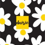 ΤΕΤΡΑΔΙΟ "DAISIE" ΡΙΓΕ 17x25 40 ΦΥΛΛΑ (ΣΥΣΚ-15 ΤΕΜ)
