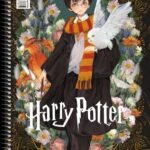 ΤΕΤΡΑΔΙΟ ΣΠΙΡΑΛ "HARRY POTTER-DEATHLY HALLOWS V.2" 21x29/180ΣΕΛ-3 ΘΕΜΑΤΑ (ΣΥΣΚ-6ΤΕΜ)