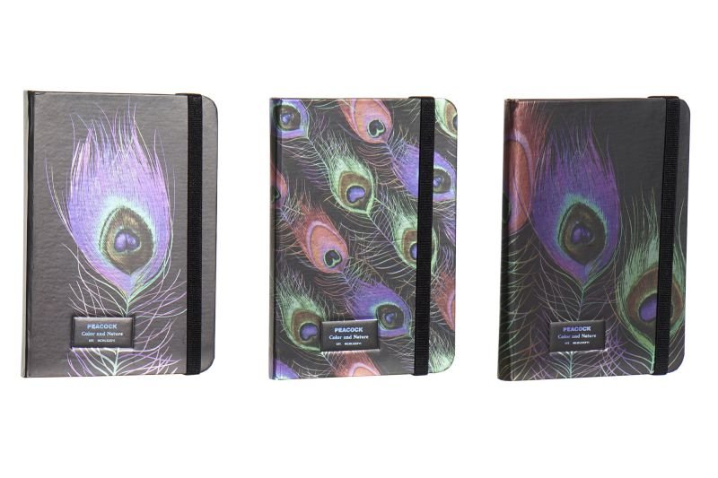 ΣΗΜΕΙΩΜΑΤΑΡΙΟ ΜΕ ΛΑΣΤΙΧΟ 9,5X1,5X14 80H, HOLOGRAM 3 ΣΧΕΔΙΑ