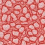ΣΜΑΛΤΟ (ENAMEL) FANTASY PRISME Icy Pink 45ml PEBEO - Image 2