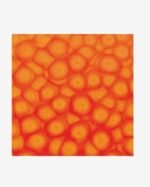 ΣΜΑΛΤΟ (ENAMEL) FANTASY PRISME Fluo Orange 45ml PEBEO - Image 2
