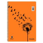 ΤΕΤΡΑΔΙΟ ΣΠΙΡΑΛ "DREAM ON" 17x25/120ΣΕΛ-2 ΘΕΜΑΤΑ (ΣΥΣΚ-10ΤΕΜ)
