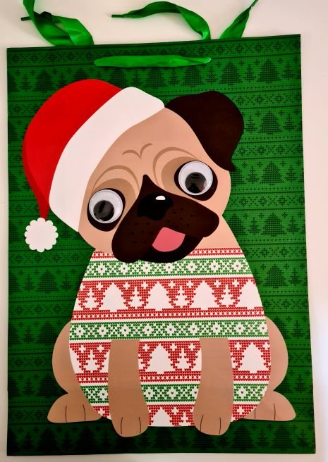 ΣΑΚΟΥΛΑ ΔΩΡΟΥ ΧΡΙΣΤΟΥΓΕΝΝΩΝ 30x41x12cm DOG IN JUMPER BIG