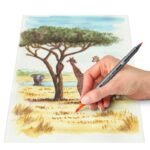 ΣΕΤ ΜΑΡΚΑΔΟΡΟΙ ΑΚΟΥΑΡΕΛΑΣ ΜΕ ΔΙΠΛΗ ΜΥΤΗ STAEDTLER AFRICA 6ΤΕΜ - Image 3
