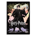 ΤΕΤΡΑΔΙΟ ΣΠΙΡΑΛ "HARRY POTTER V.1" 17x25/180ΣΕΛ-3 ΘΕΜΑΤΑ (ΣΥΣΚ-6ΤΕΜ)