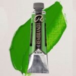 ΛΑΔΙΑ REMBRANDT 15ml S3 T.6 No.618 Permanent Green Light